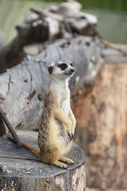 yellow themed newsletter reading notes email preview